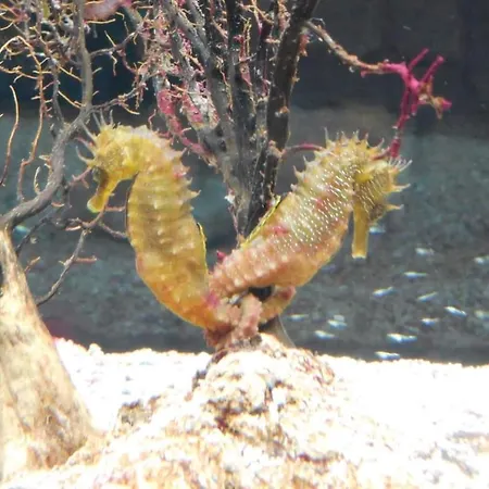 7even Ground Floor アパート