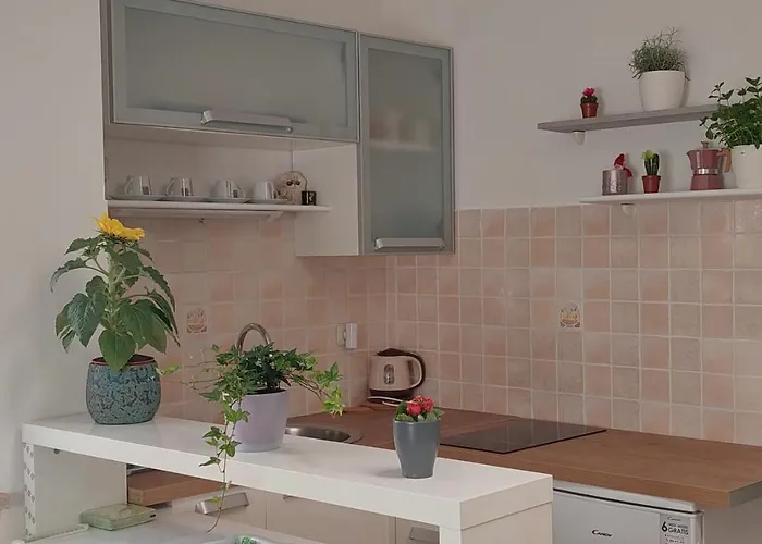 7even Ground Floor Pula